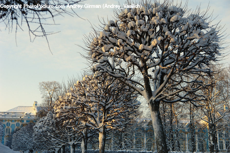 Building, Frost, Ice, Outdoors, Snow, Blizzard, Weather