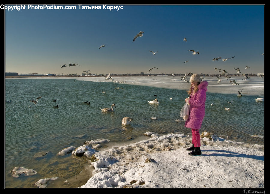 Human, People, Person, Beach, Coast, Outdoors, Sea