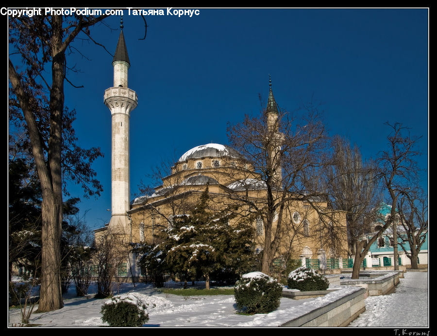 Plant, Potted Plant, Architecture, Dome, Mosque, Worship, Fence