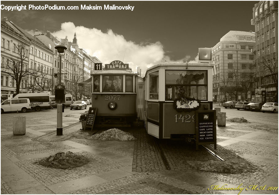 Plant, Potted Plant, Cable Car, Streetcar, Trolley, Vehicle, Transportation