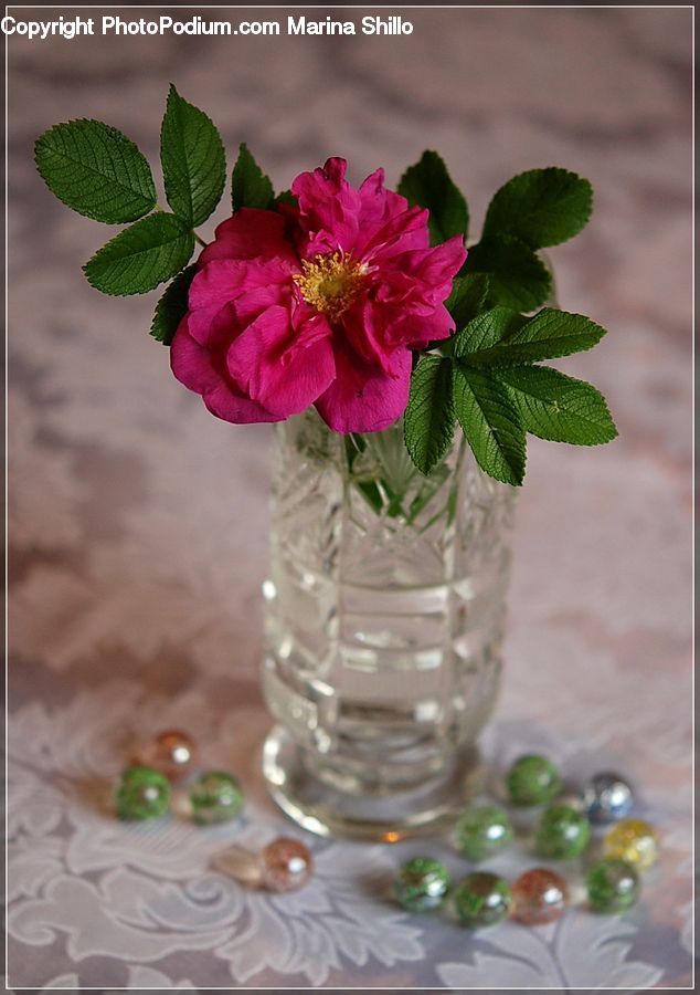 Jar, Porcelain, Vase, Accessories, Bead, Prayer Beads, Glass