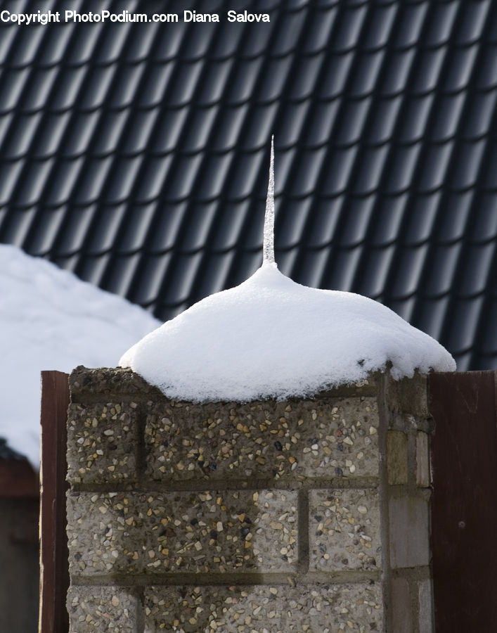 Bird Feeder