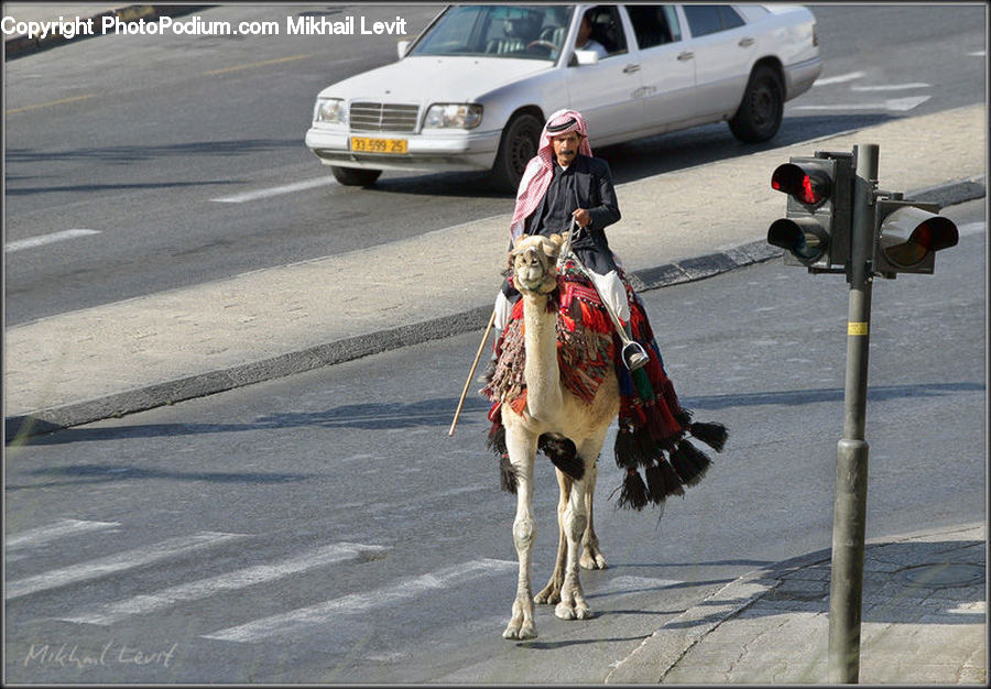 Automobile, Car, Vehicle, Hat, Limo, Caravan, Van