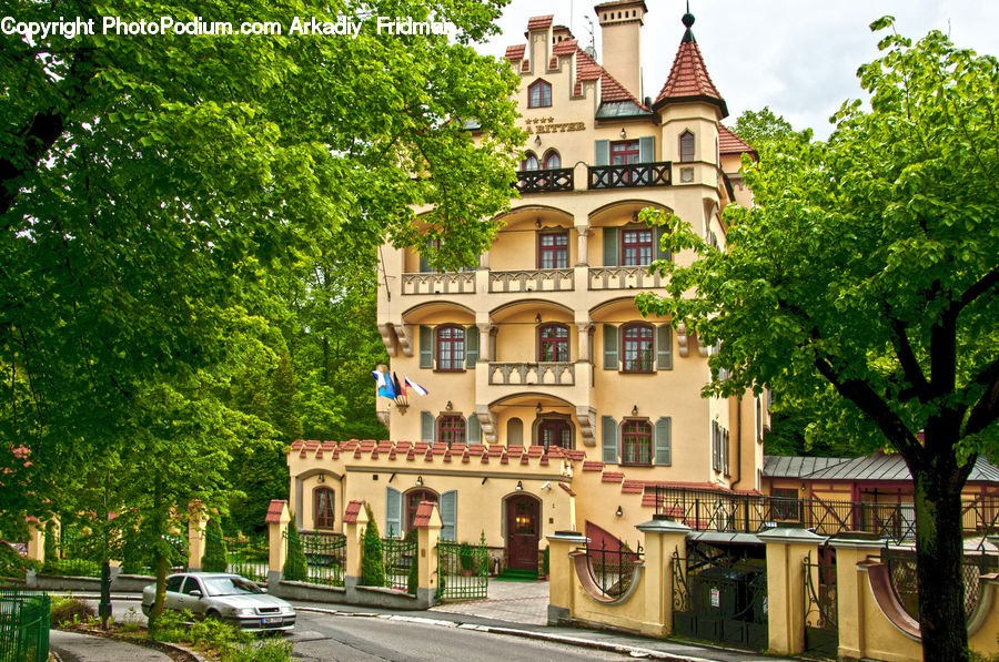 Architecture, Mansion, Oak, Tree, Wood, Balcony, Plant