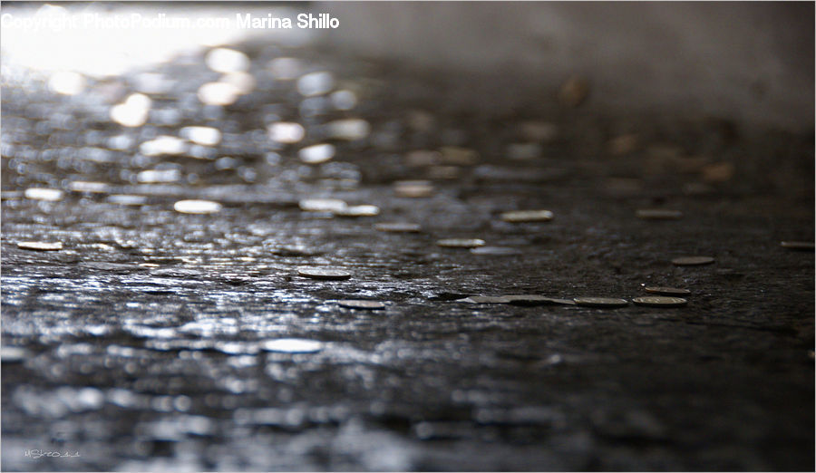 Cobblestone, Pavement, Walkway, Pebble, Landscape, Nature, Scenery