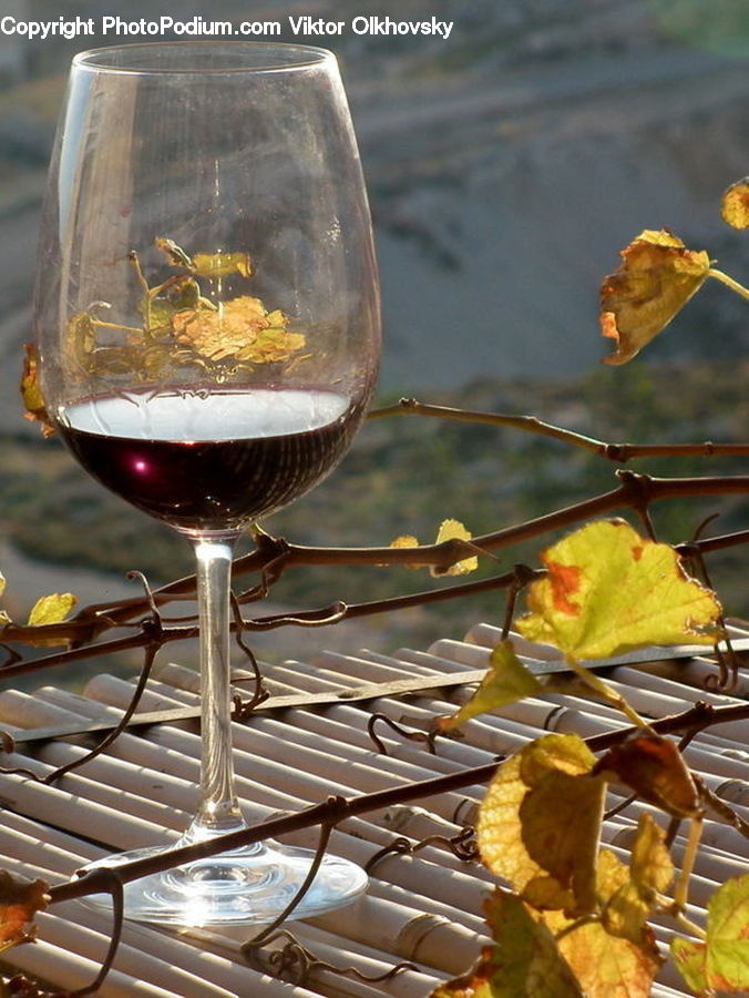 Glass, Alcohol, Beverage, Wine, Goblet, Food, Drink