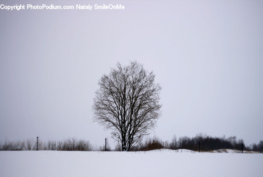 Blizzard, Outdoors, Snow, Weather, Winter, Landscape, Nature