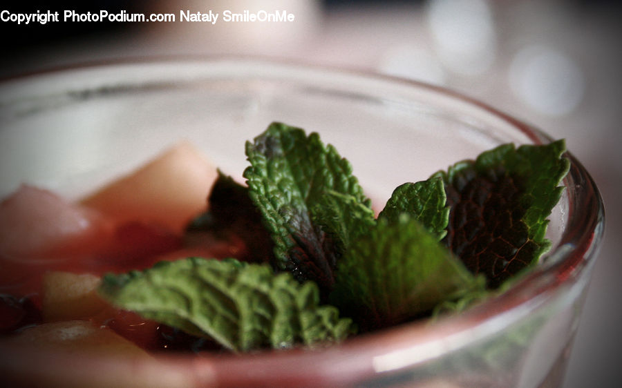 Herbs, Mint, Plant, Dessert, Food, Cream, Creme