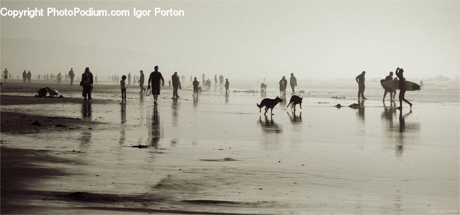 Beach, Coast, Outdoors, Sea, Water, Sand, Soil