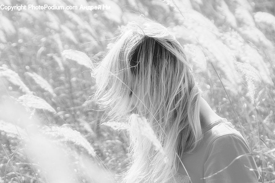 Blonde, Female, Person, Woman, Portrait, Selfie