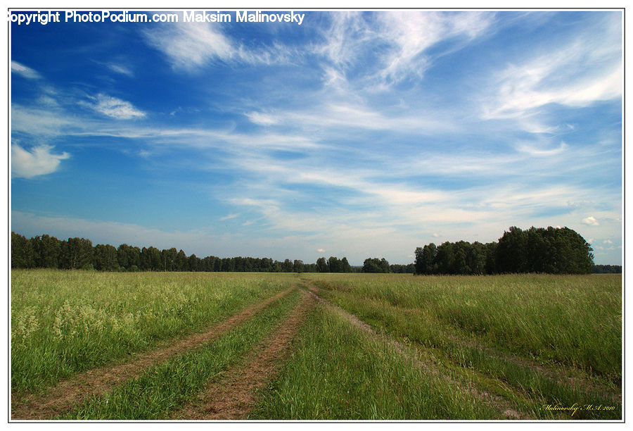 Field, Grass, Grassland, Land, Outdoors, Dirt Road, Gravel