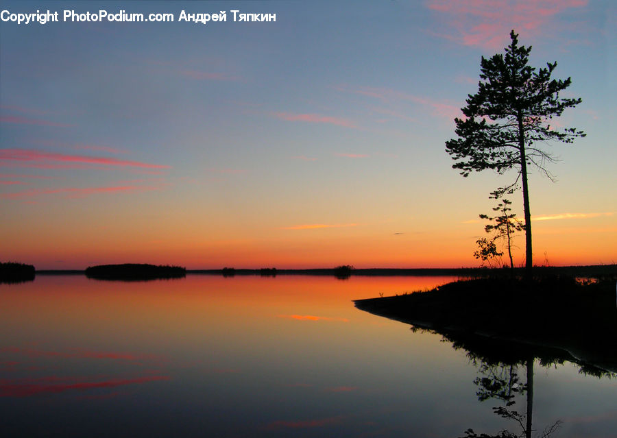 Plant, Tree, Dawn, Dusk, Red Sky, Sky, Sunrise