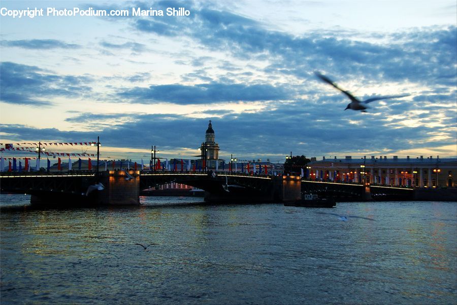 Boat, Watercraft, Bridge, Freighter, Ship, Vessel, Dock