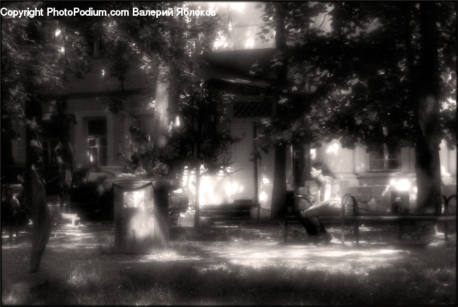 Plant, Potted Plant, Night, Outdoors, Lighting, Jar, Alley
