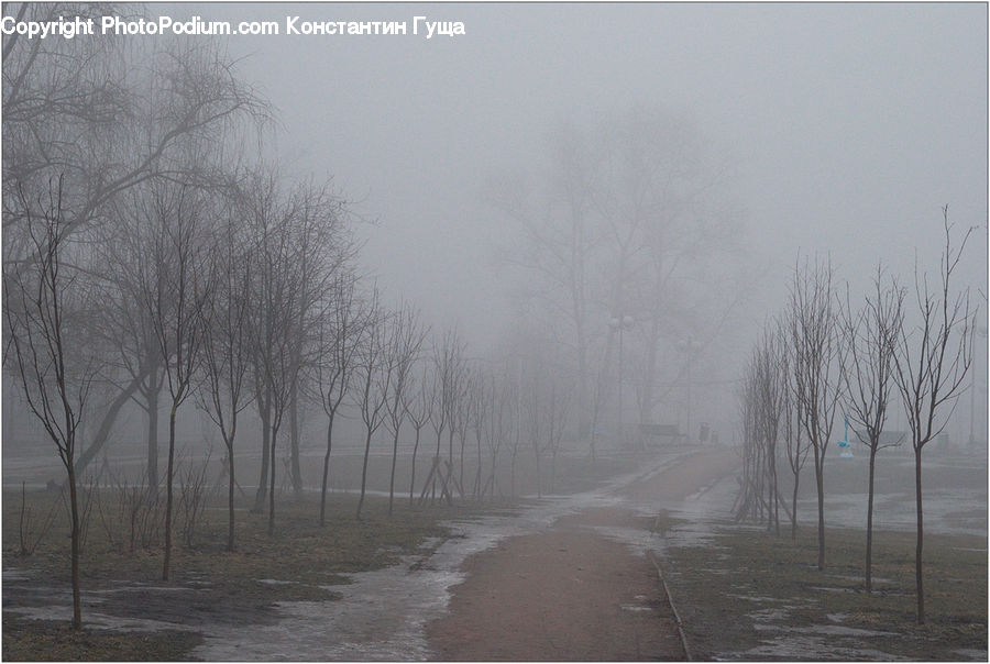 Fog, Dirt Road, Gravel, Road