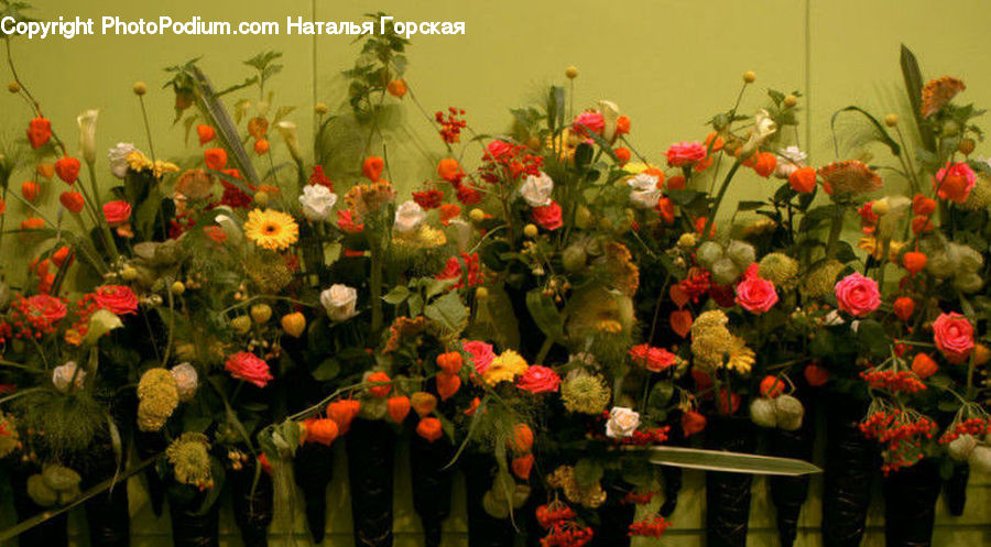 Plant, Potted Plant, Floral Design, Flower, Flower Arrangement, Flower Bouquet, Ikebana