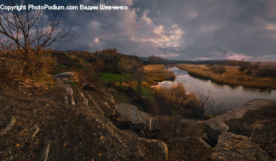 Land, Marsh, Pond, Swamp, Water, Soil, Dirt Road
