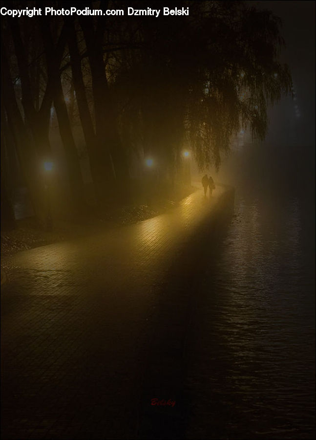 Light, Fog, Dawn, Dusk, Sky, Sunrise, Sunset