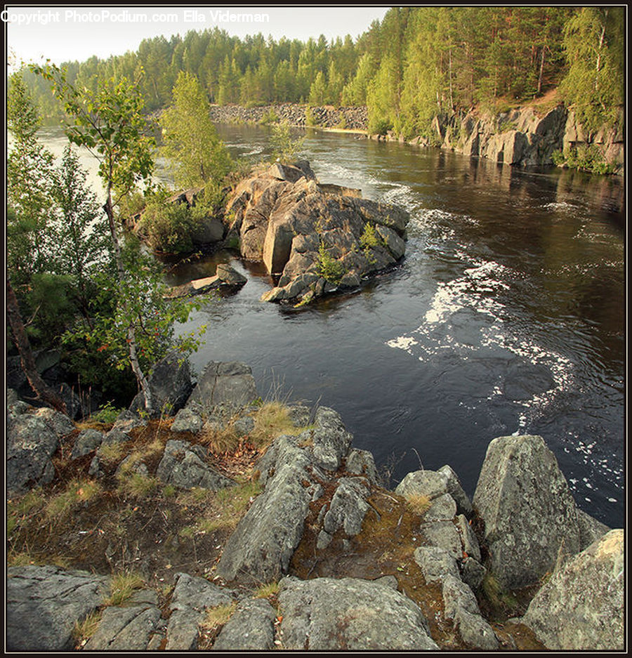 Creek, Outdoors, River, Water, Rock, Plant, Tree