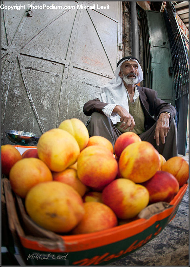 Citrus Fruit, Fruit, Orange, People, Person, Human, Bowl