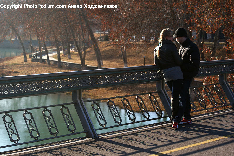People, Person, Human, Bench, Hug, Kiss, Plant