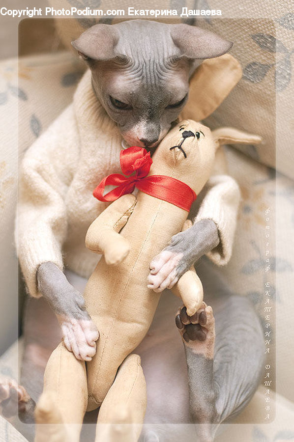 Teddy Bear, Toy, Costume