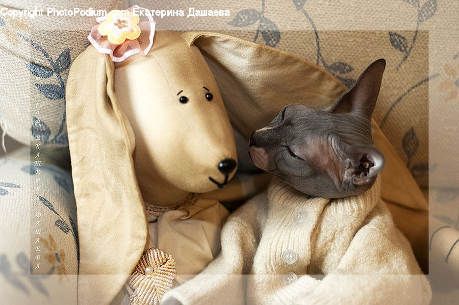 Blanket, Home Decor, Quilt, Towel, Animal, Canine, Chihuahua