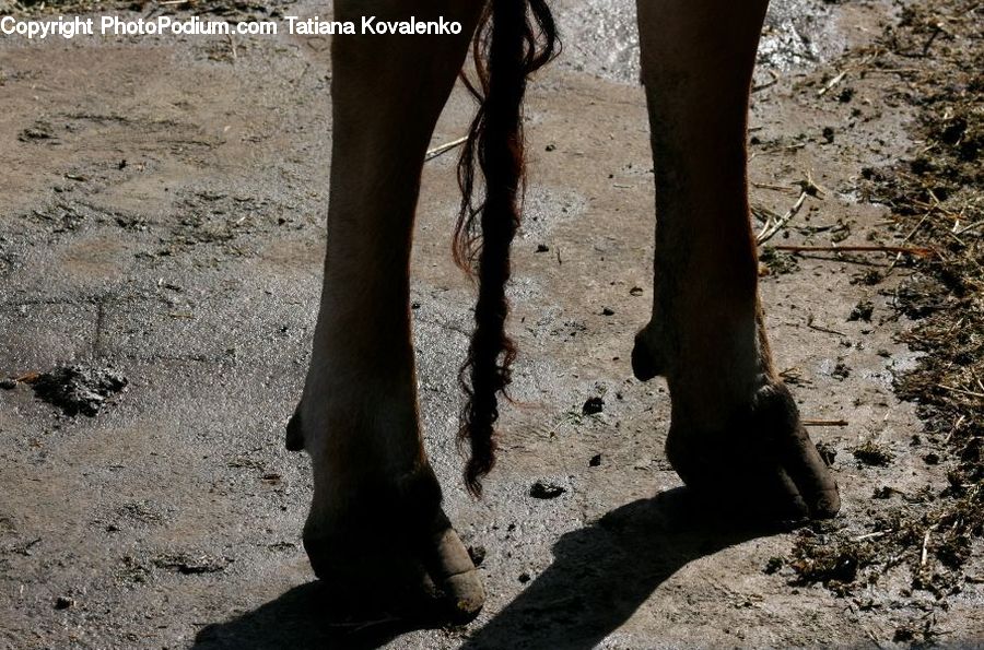 People, Person, Human, Outdoors, Sand, Soil, Ground