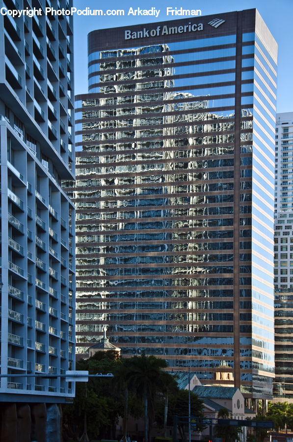 Building, Housing, Palm Tree, Plant, Tree, Office Building, City