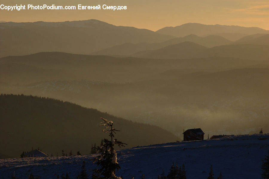 Dawn, Dusk, Sky, Sunrise, Sunset, Conifer, Fir