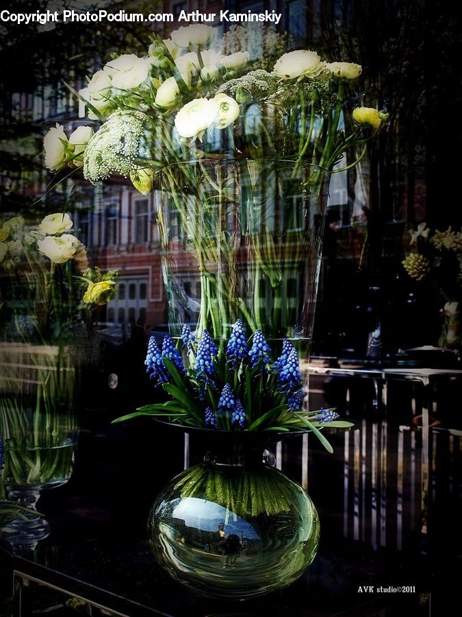 Fountain, Water, Garden, Gardening, Plant, Potted Plant, Blossom