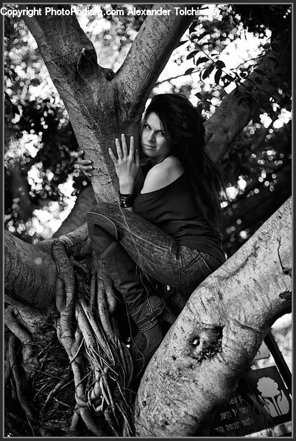 People, Person, Human, Female, Plant, Tree, Portrait