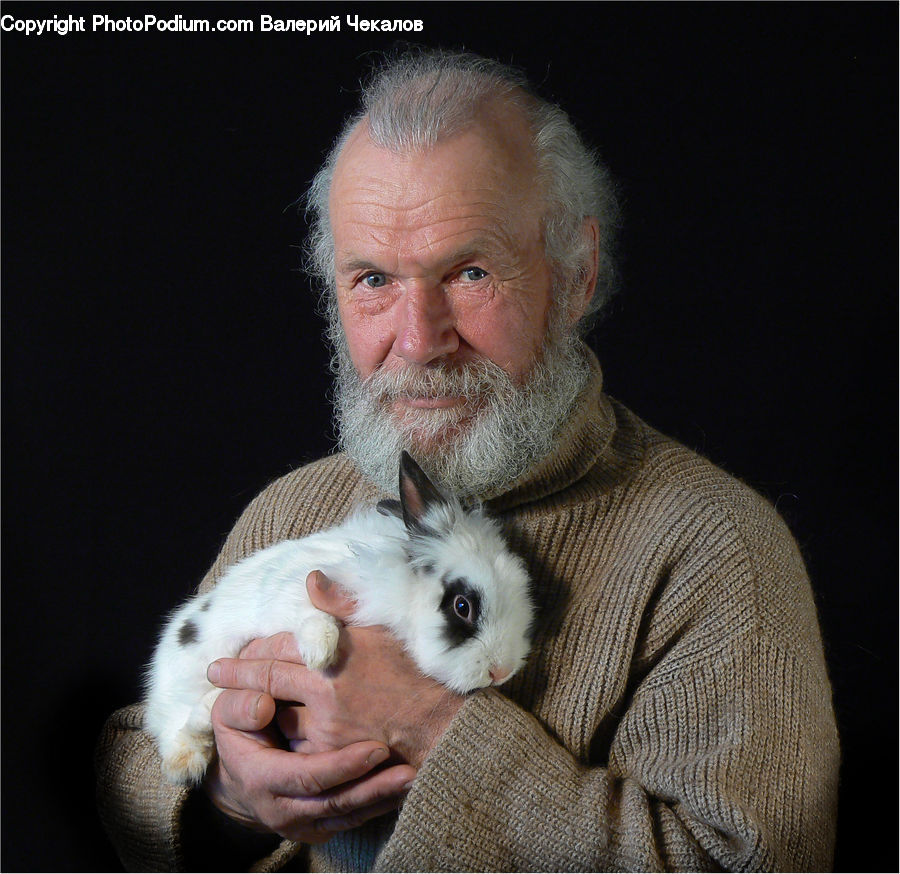 People, Person, Animal, Bunny, Hare, Mammal, Rabbit