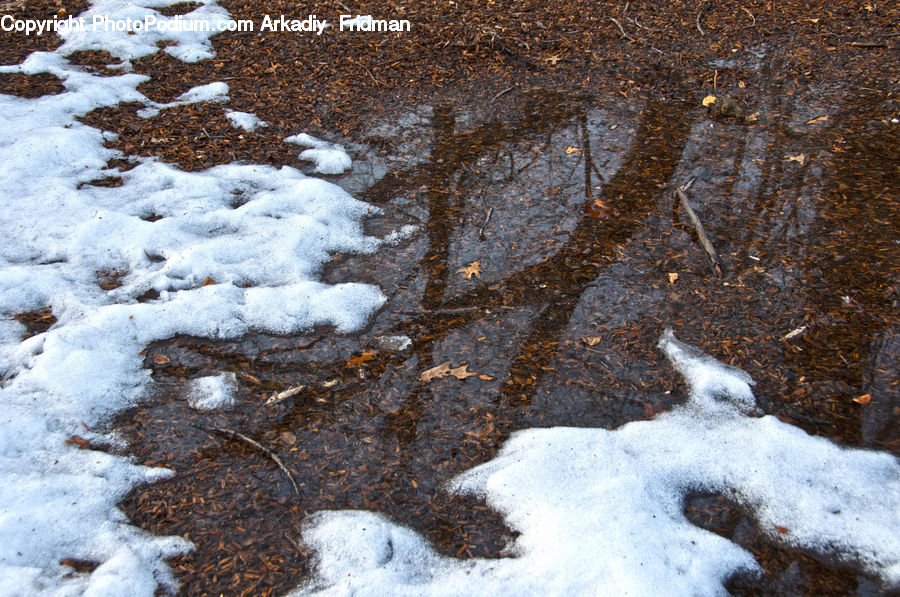 Creek, Outdoors, River, Water, Land, Marsh, Pond