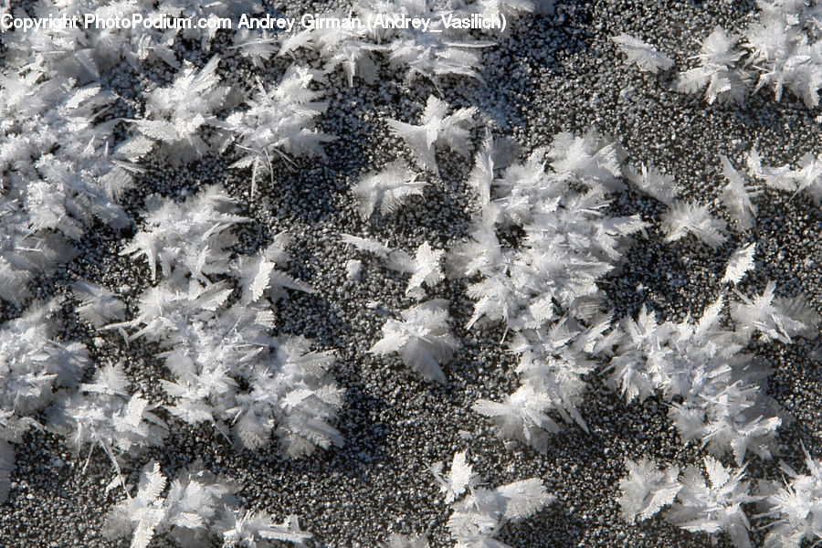 Frost, Ice, Outdoors, Snow, Lace, Pavement