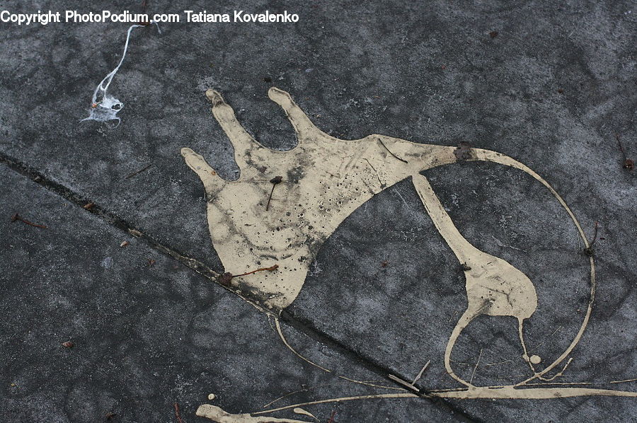 Pavement, Asphalt, Tarmac, Art, Modern Art