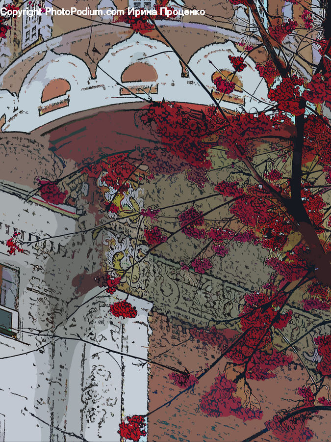Collage, Poster, Blossom, Cherry Blossom, Flower, Map, Atlas