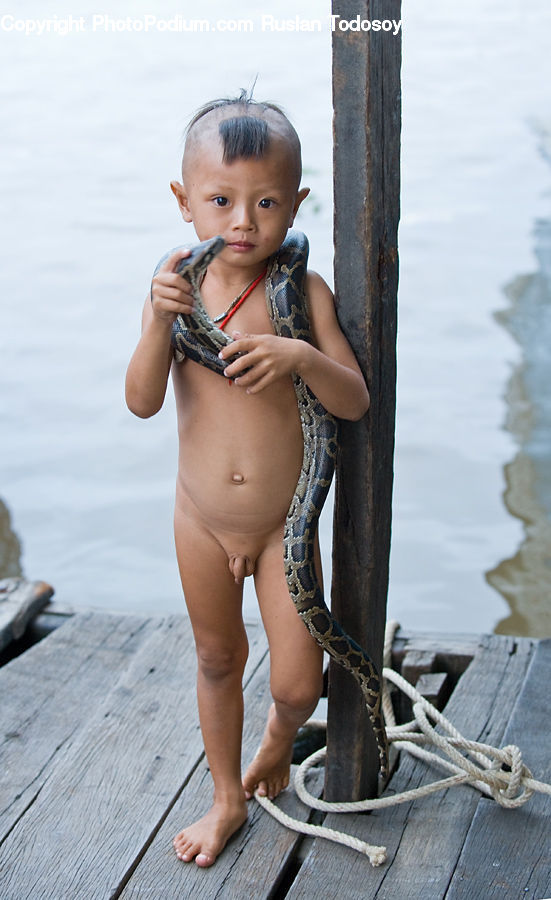 People, Person, Human, Driftwood, Wood, Female, Girl