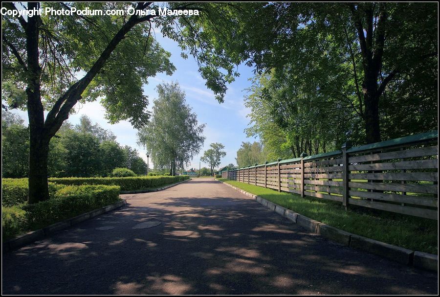 Path, Road, Walkway, Dirt Road, Gravel, Bench, Plant