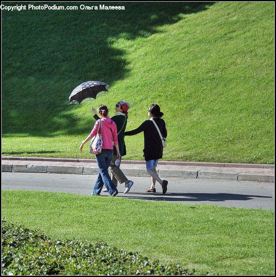 Human, People, Person, Umbrella, Leisure Activities, Walking, Outdoors