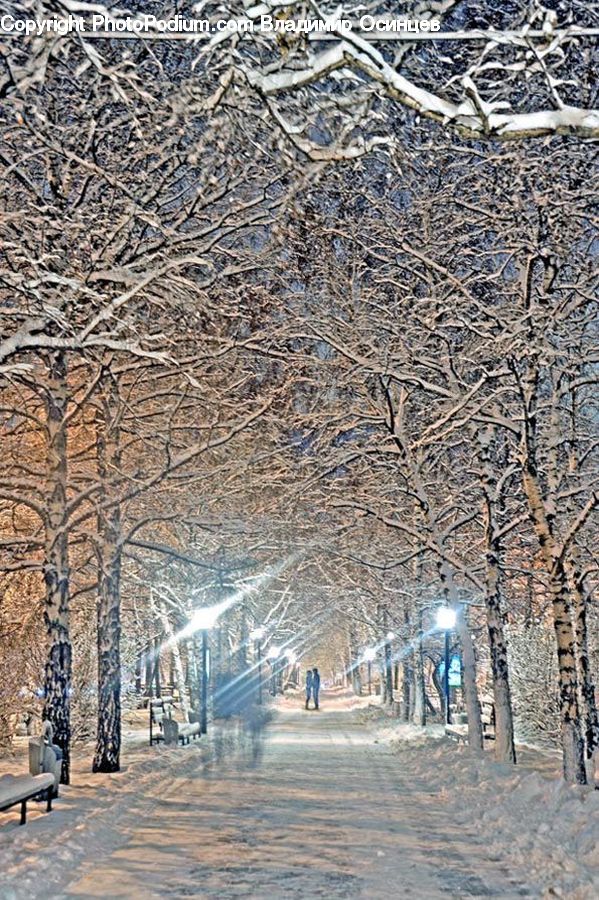 Blizzard, Outdoors, Snow, Weather, Winter, Road, Street