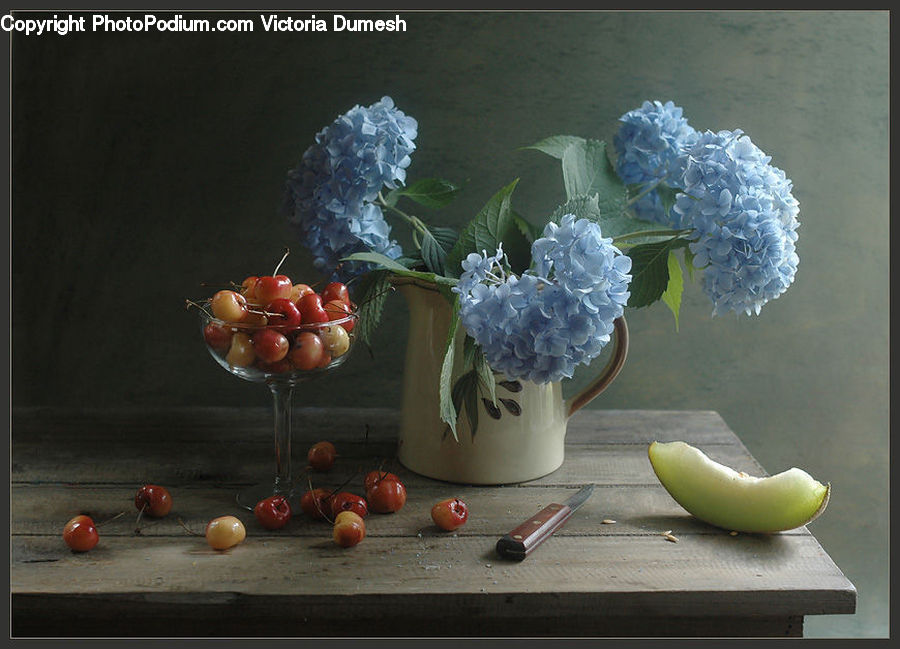 Glass, Goblet, Flower, Lily, Plant, Pond Lily, Potted Plant