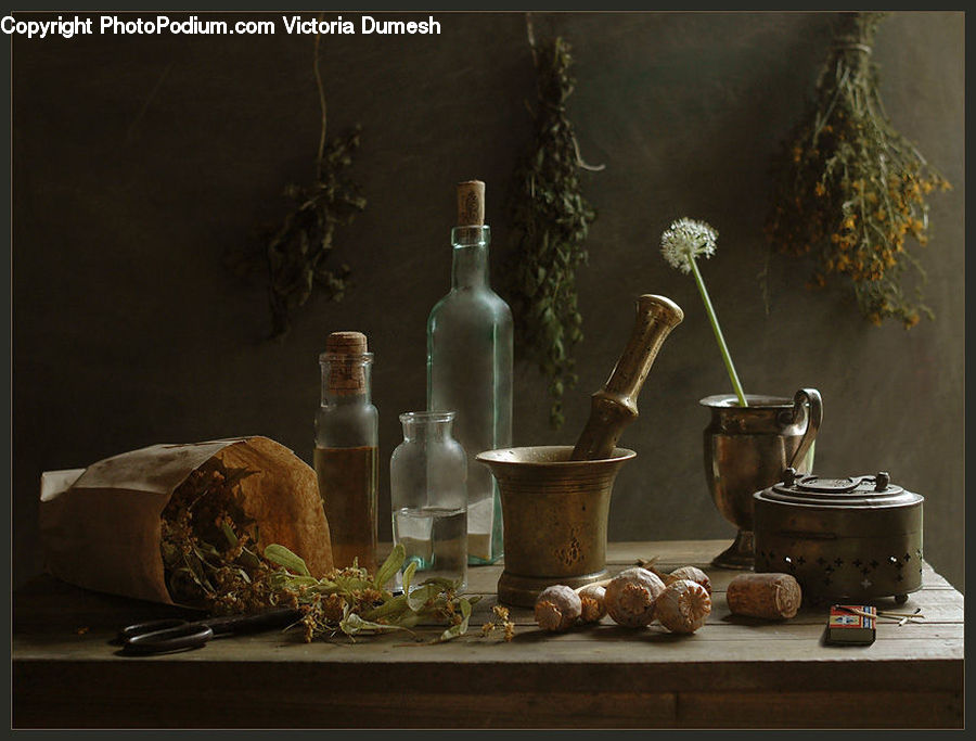 Plant, Potted Plant, Glass, Goblet, Pot, Pottery, Weed
