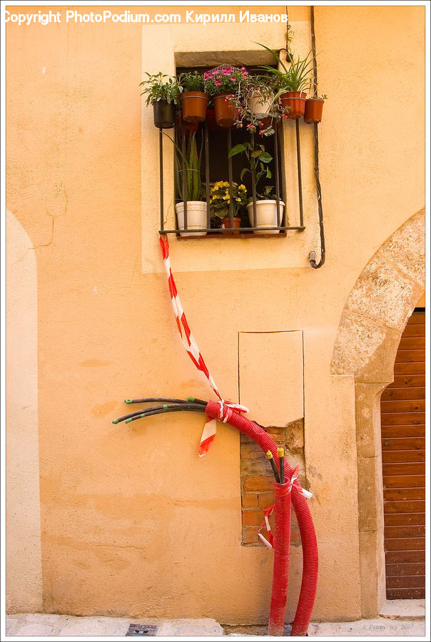 Plant, Potted Plant, Balcony, Flower Arrangement, Ikebana, Vase, Blossom