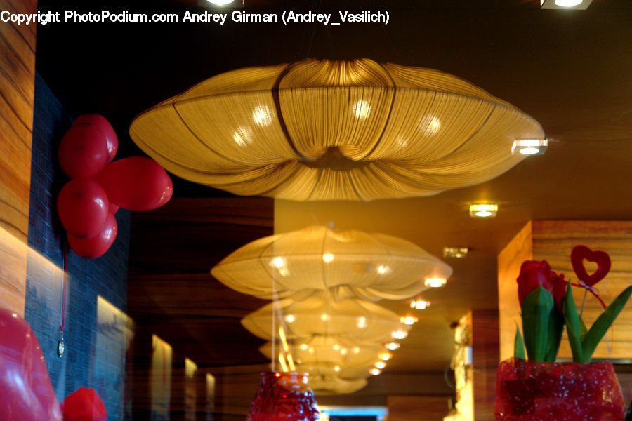 Ball, Balloon, Lighting, Dining Room, Indoors, Room, Light Fixture