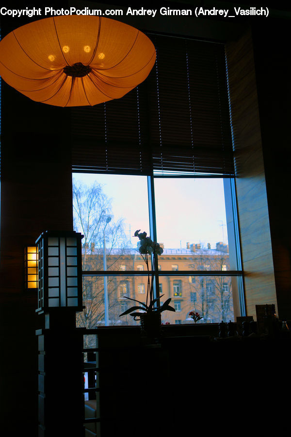 Window, Light Fixture, Building, Housing, Dining Room, Indoors, Room