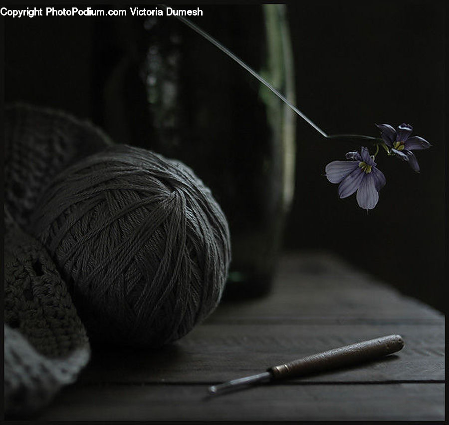 Fiber, Flax, Flora, Flower, Plant, Blossom, Aquilegia