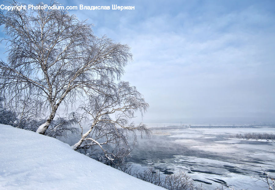 Blizzard, Outdoors, Snow, Weather, Winter, Landscape, Nature