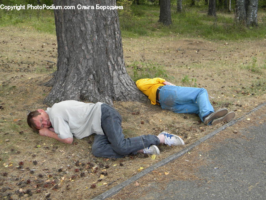 People, Person, Human, Asleep, Ball, Sphere, Soil