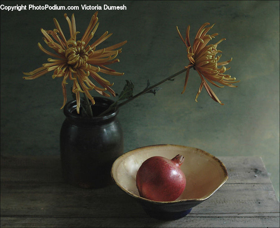 Bowl, Aloe, Plant, Flower Arrangement, Ikebana, Potted Plant, Vase
